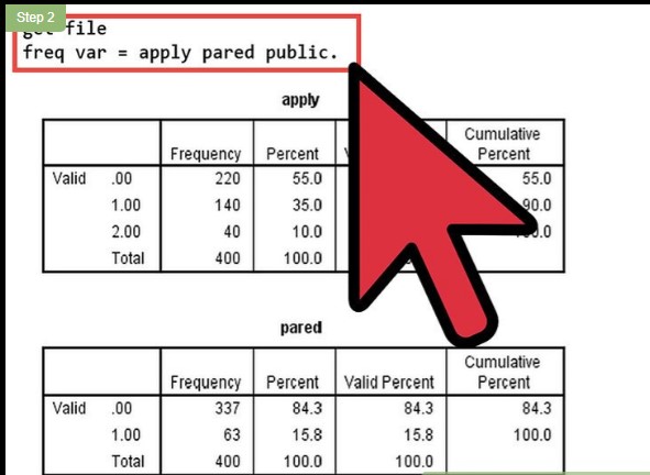 How to Analyse Data Using SPSS